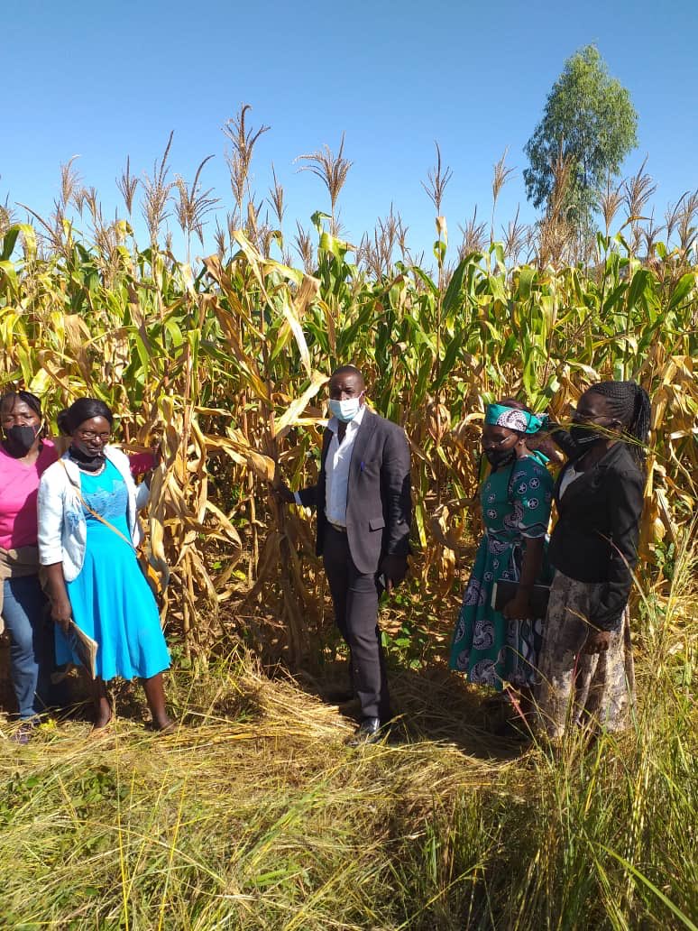 Wedza-North Constituency tweet media