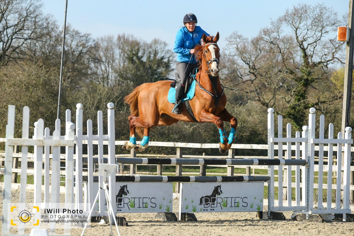 William Evenden tweet media