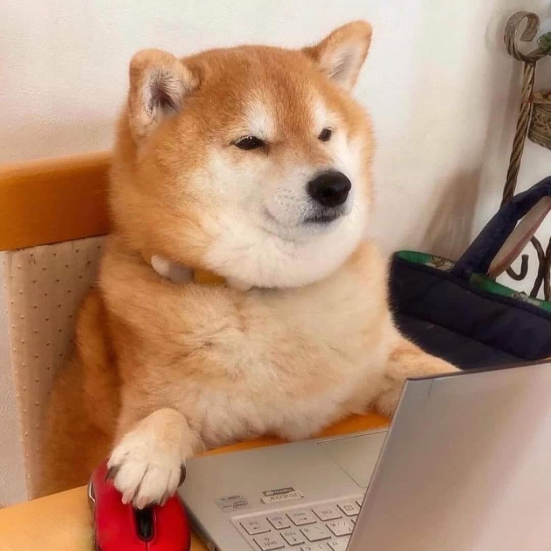 GG <a href="/4give_r/">4Giver</a> we cop the double u 3-0 lovely little bday prezzie. Would @ a standout fella but everyone popped today. <a href="/Zuper_OCE/">Zuper</a> @Joker_oce <a href="/Borkoce/">Brandon</a> <a href="/badd2K/">.</a> <a href="/BlurAUS/">Blur</a> mad dogs well done.