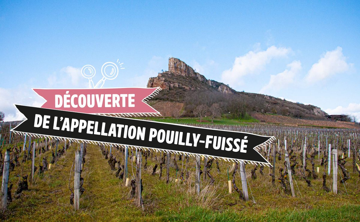 Grâce à Toutlevin et cet article de <a href="/PaulineGonnet/">Pauline Gonnet</a>, découvrez l’appellation bourguignonne Pouilly-Fuissé ! 👉 ow.ly/qelc50Effa8
#winemorning