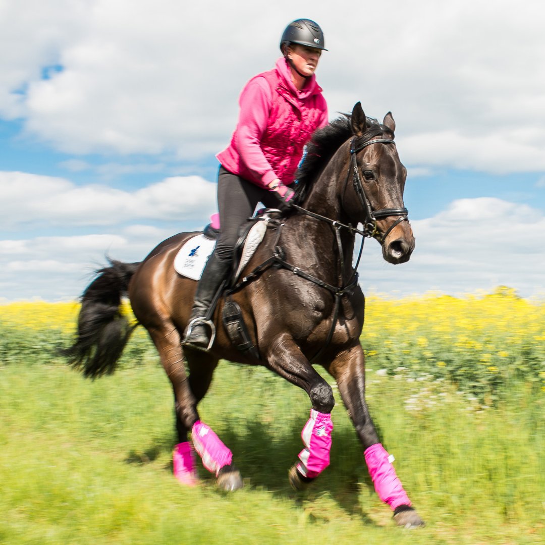 GollyGaloshes's tweet image. Who Is Looking Forward To Summer 🙋‍♀️
Did you know our Gaiters are BREATHABLE as well as waterproof, making them ideal for every season!
Come rain, shine or snow!
🛍 bit.ly/2O5TI4K
#horses #summerhorses