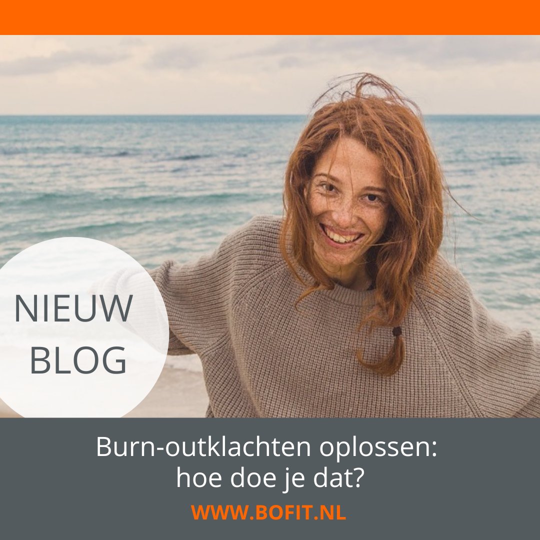 BoFit tweet media
