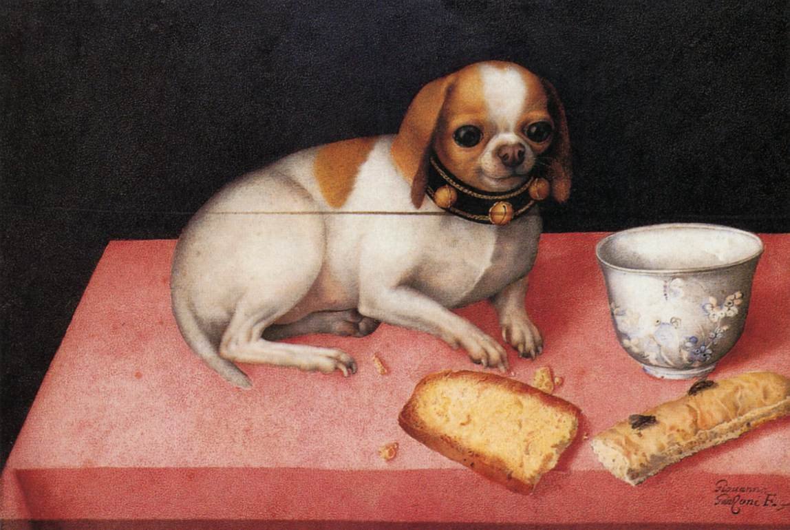 Adding to the great  #NationalPetMonth thread here's my all-time favourite early modern dog portrait. Giovanna Garzoni's c. 1648 portrait of a Medici lapdog (Galleria Palatina, Palazzo Pitti). Smug obese pet, with  #PetBling belled collar, eating fancy biscuits (spot flies on one)