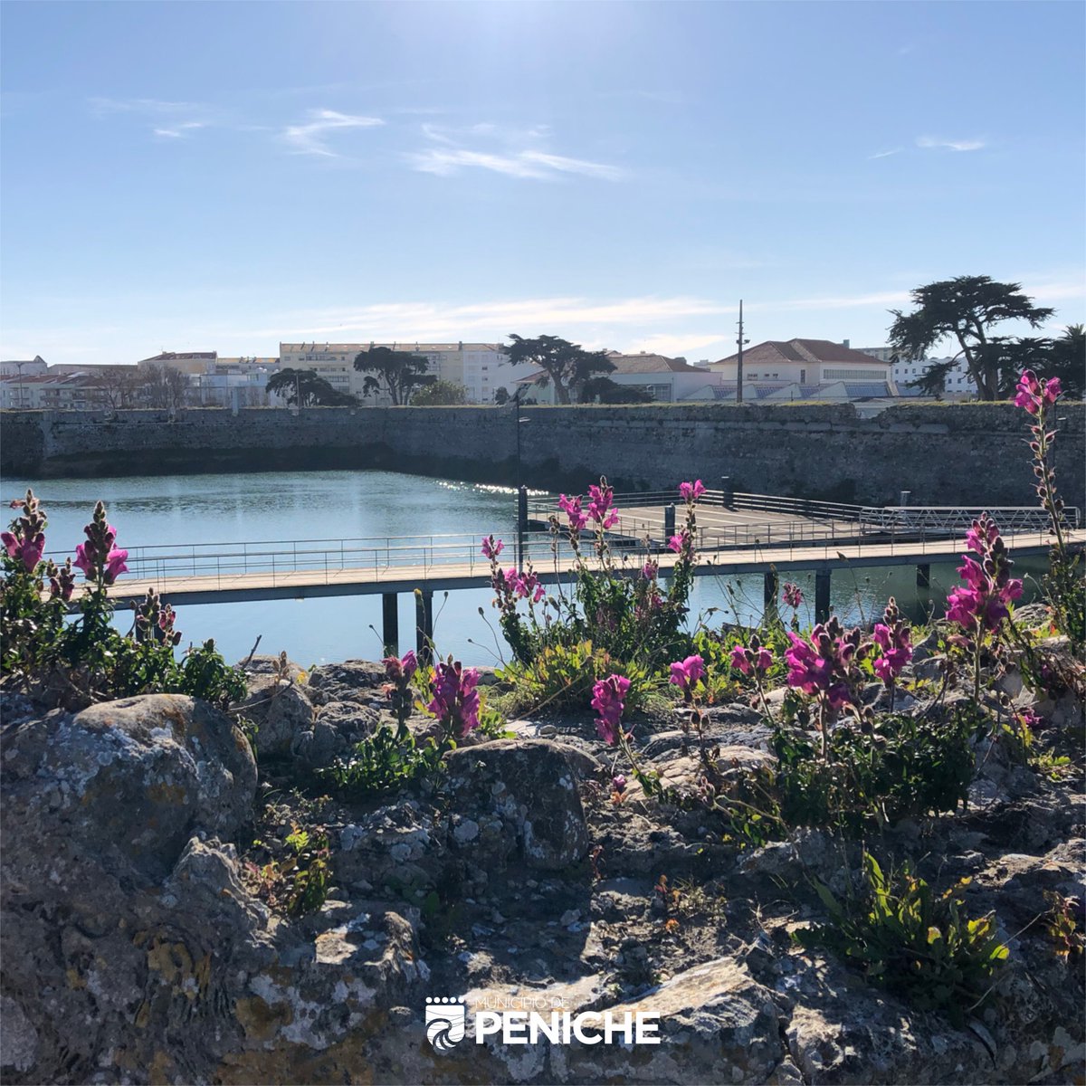 Bom dia #peniche ☀️

#OestePortugal #Primavera #SpringDay