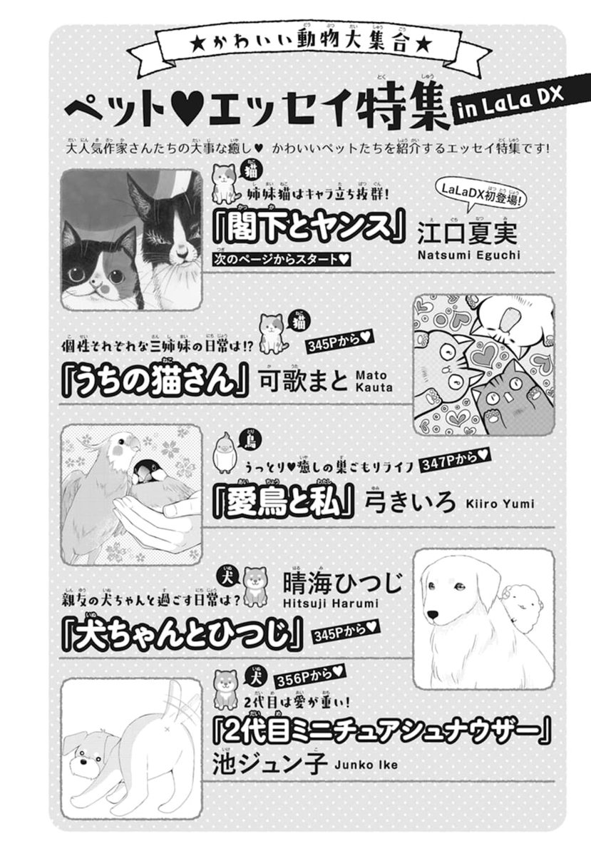 \本日発売?LaLaDX5月号/

豪華作家陣の #ペットエッセイ
#弓きいろ のエッセイは…鳥さん?
☞「#愛鳥と私」

もふもふ文鳥&amp;ツンデレインコに囲まれた
癒やしの巣ごもりライフをご堪能あれ??

?新電子増刊「#いちゃLaLa」で『#荒野と愛弟子』配信中!師弟愛×年の差ラブ? 