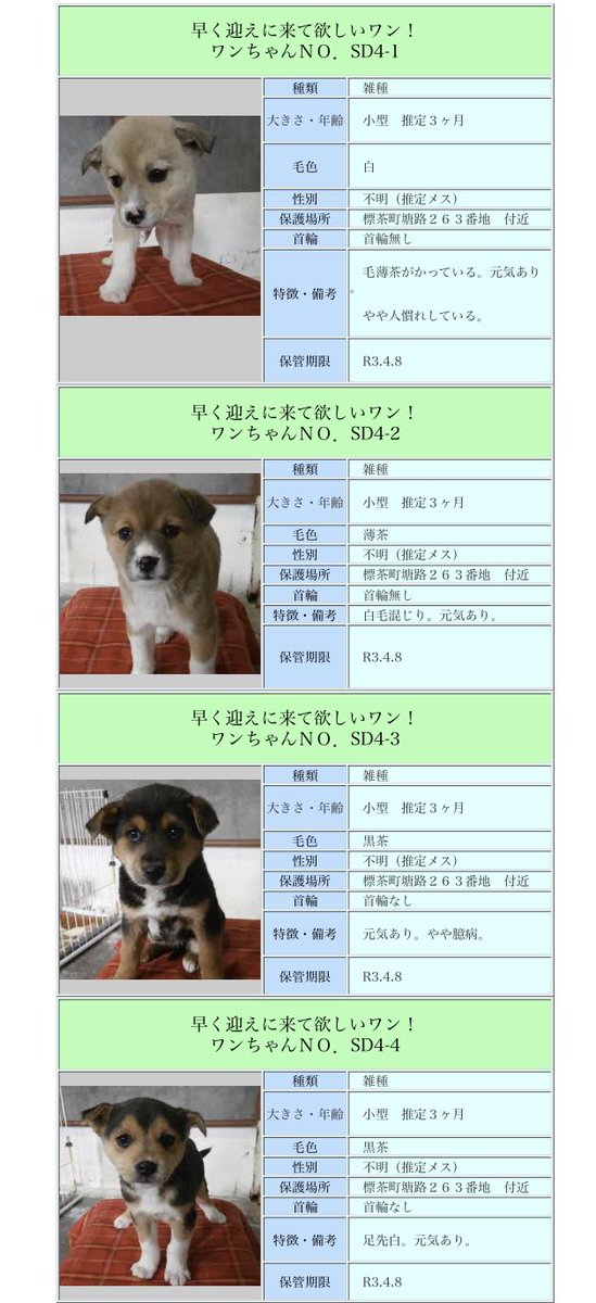 ゴン太 Hhboqeoxng8a4a6 Twitter