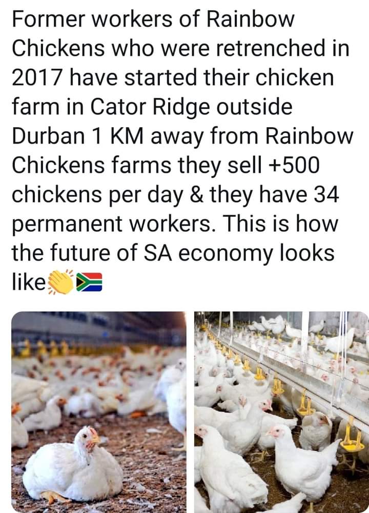 Refilwe_A_FiFi's tweet photo. Look at SA🇿🇦👏🏾👏🏾 https://t.co/0Zi0IiBp4h