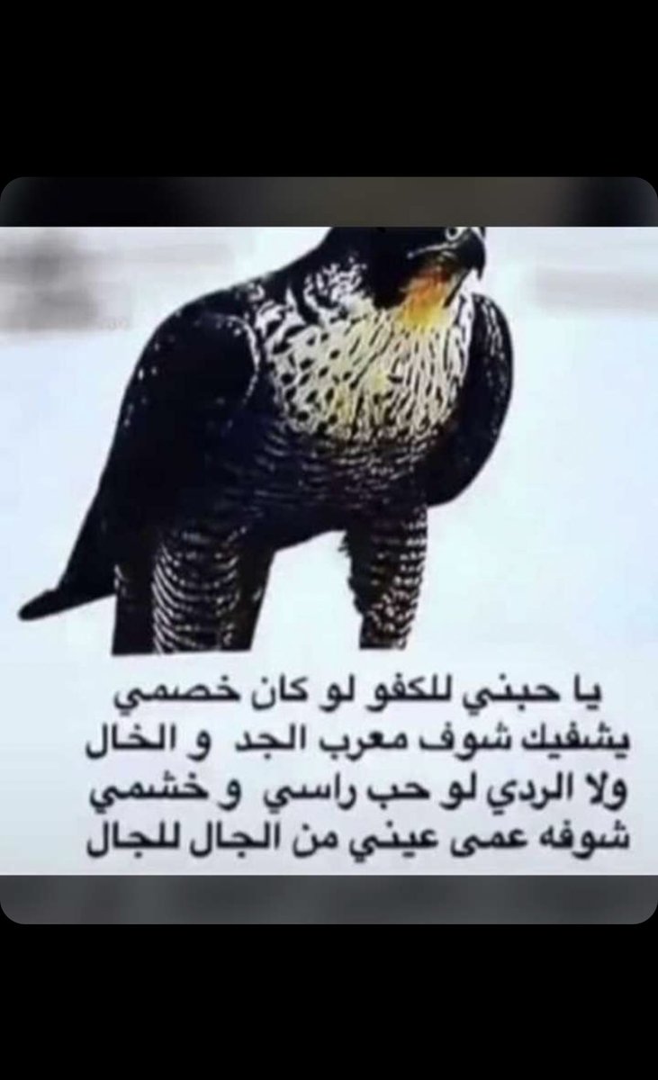 راكان المعاشي tweet media