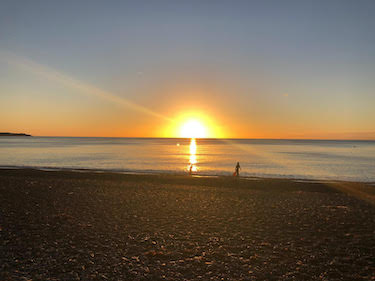 sysbioire's tweet image. New #SBIblog up today from @aisling_heeran (Kolch/Gomez Groups) - &apos;Finishing a Ph.D. in a Pandemic&apos;. #lockdown #remote #workingfromhome #adapt #careerpath #PhD #virtualviva  ucd.ie/sbi/news/blog/…