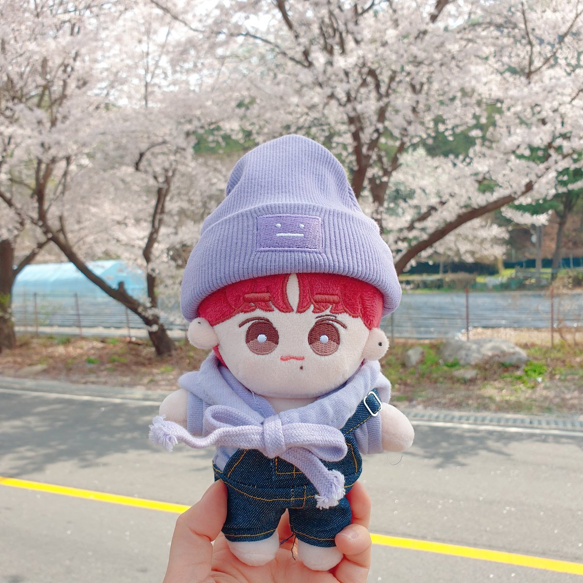 hwippi's tweet photo. 🌸🥰 https://t.co/nQWu0NtlNw