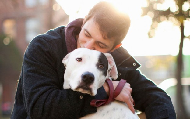 Whether you have a cat, dog, or some other type of pet, we’re confident you’ll enjoy these heartwarming stories of pets full of love and drama: petsreporter.com/heartwarming-s…