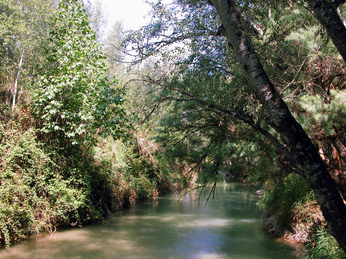 RedNNoroesteMur's tweet photo. 🤔 ¿Sabes qué es un bosque galería? 😃
🌲🌿Es aquél donde la vegetación se distribuye entorno al río, formando una especie de bóveda natural, una gran galería 🏞️😍
#BosqueGalería #ReservaNaturalCañaverosa https://t.co/6LqV7oh0JC