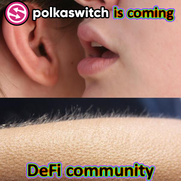 NYblacksheep's tweet photo. @wsbpage I think one of the most promising projects is about to enter to the market soon 🔜

#Polkaswitch already secured $3M in seed funding to Build Cross-Chain Exchange, led by Arrington Capital and Ascensive Assets

$SWITCH #Polkadot #Ethereum https://t.co/Fvj95xkVBM