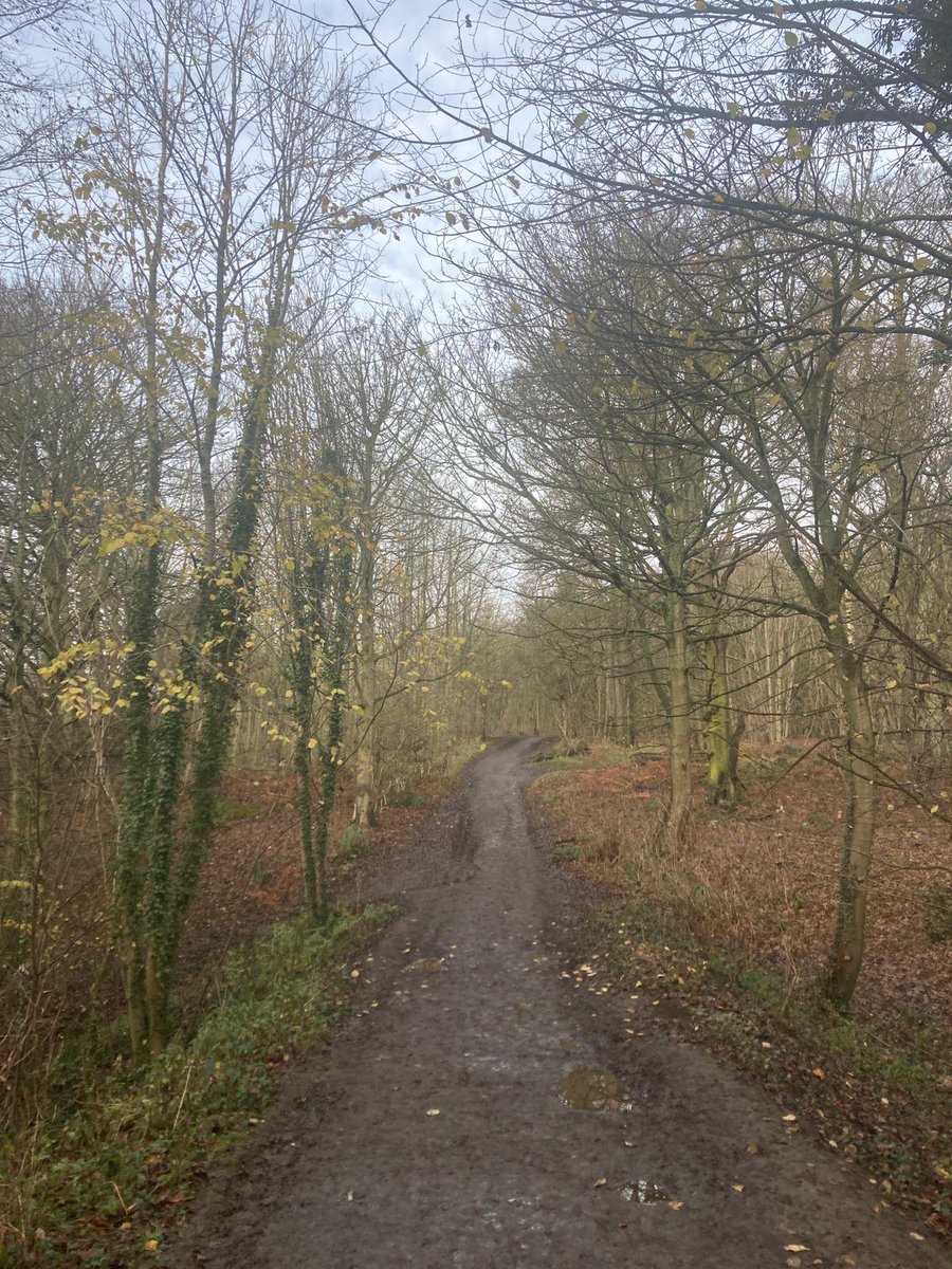 Get outdoors this weekend and improve your #mentalwellbeing and #physicalhealth with our lovely Harewood Estate Circuit.
facebook.com/WhiteFoxWalkin…

#mentalhealthmatters #getoutdoors #outdooradventures #getoutside #walking #hiking #gettingout #mentalhealth #yorkshirewalks