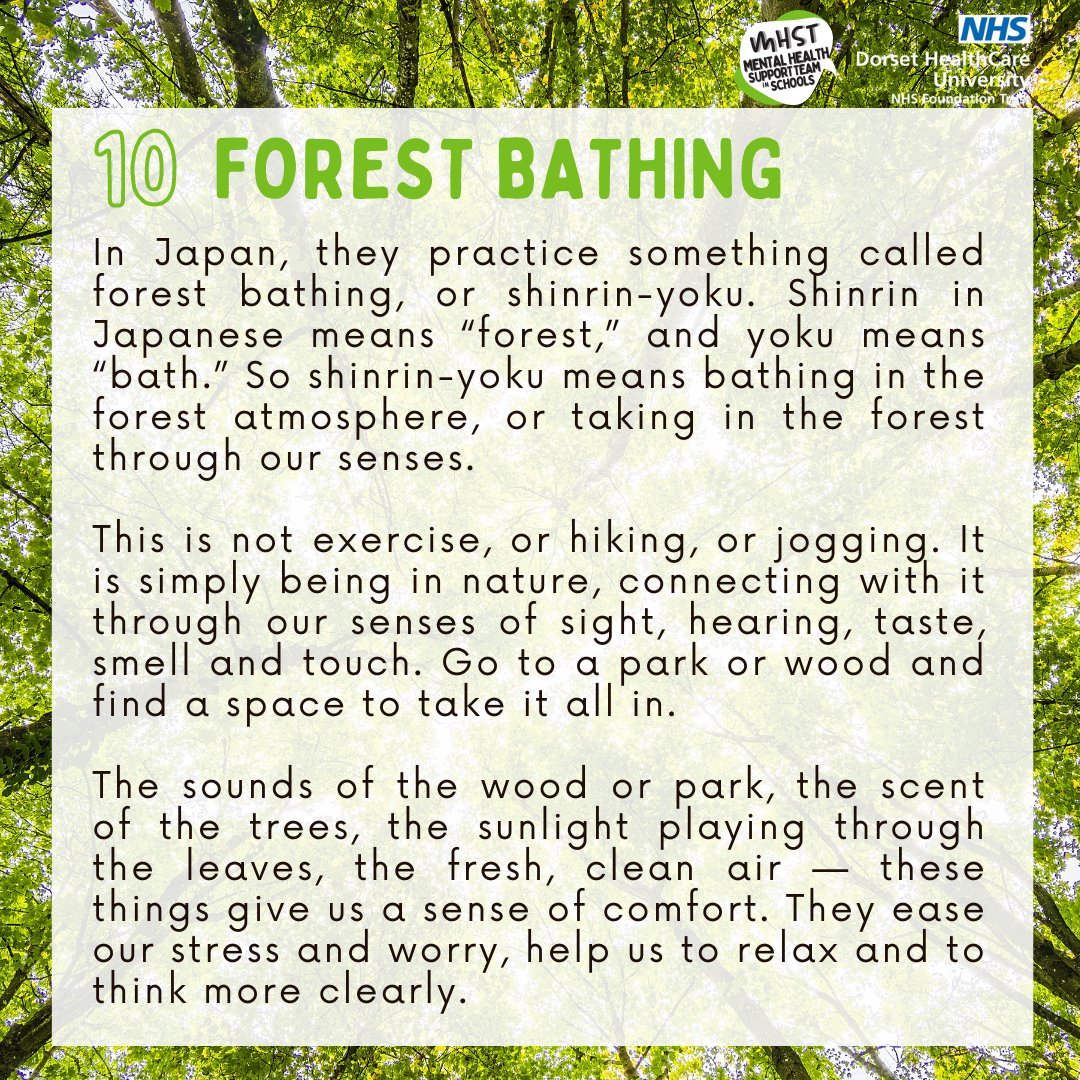 Camhs Dorset Online tweet media