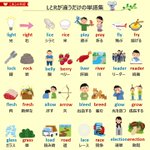 本当にそれで合ってる いろんな言葉の対義語がこれ 話題の画像プラス 本当にそれで合ってる いろんな言葉の対義語がこれ 話題の画像プラス