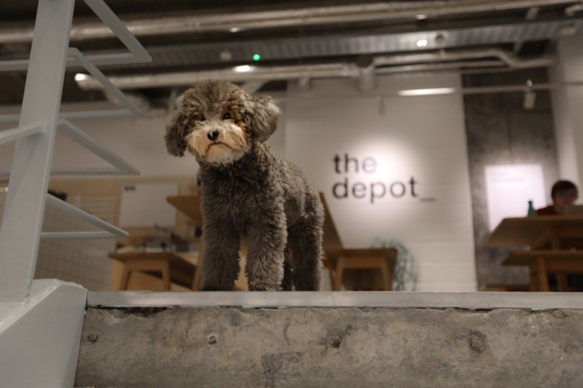 Counting down the days until <a href="/_thedepot_/">the depot_</a> Old Street reopens its doors on the 12th of April! Come on by to say hi, grab a takeaway coffee, or, if you fancy working there for a day or two, simply book a spot here:  thedepotspaces.co.uk.