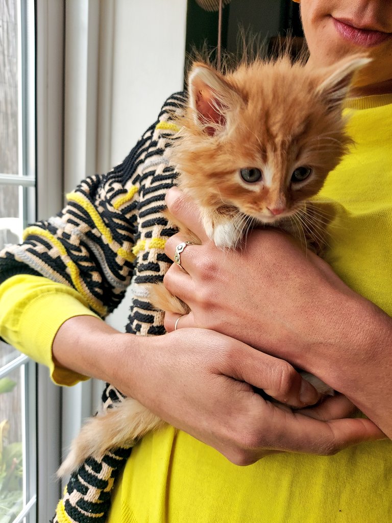 Toby King tweet media