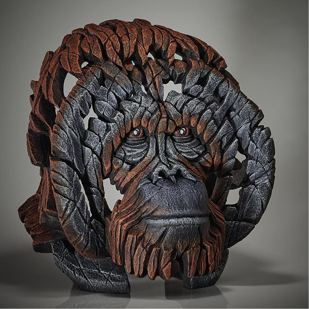 NEW - Orangutan Bust by Edge Sculpture is Now Available to Pre - Order !! 
Click here to Order 
mpgallery.co.uk/product/orangu…
Or call on 01206 560395 to pay a small deposit

Height 16.2 inches (413mm) Width 14.2 inches (360mm) Depth 11.6 inches (295mm)
#orangutan #greatape #borneo