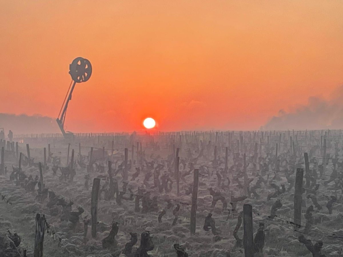 Chambre d’agriculture 37 tweet media