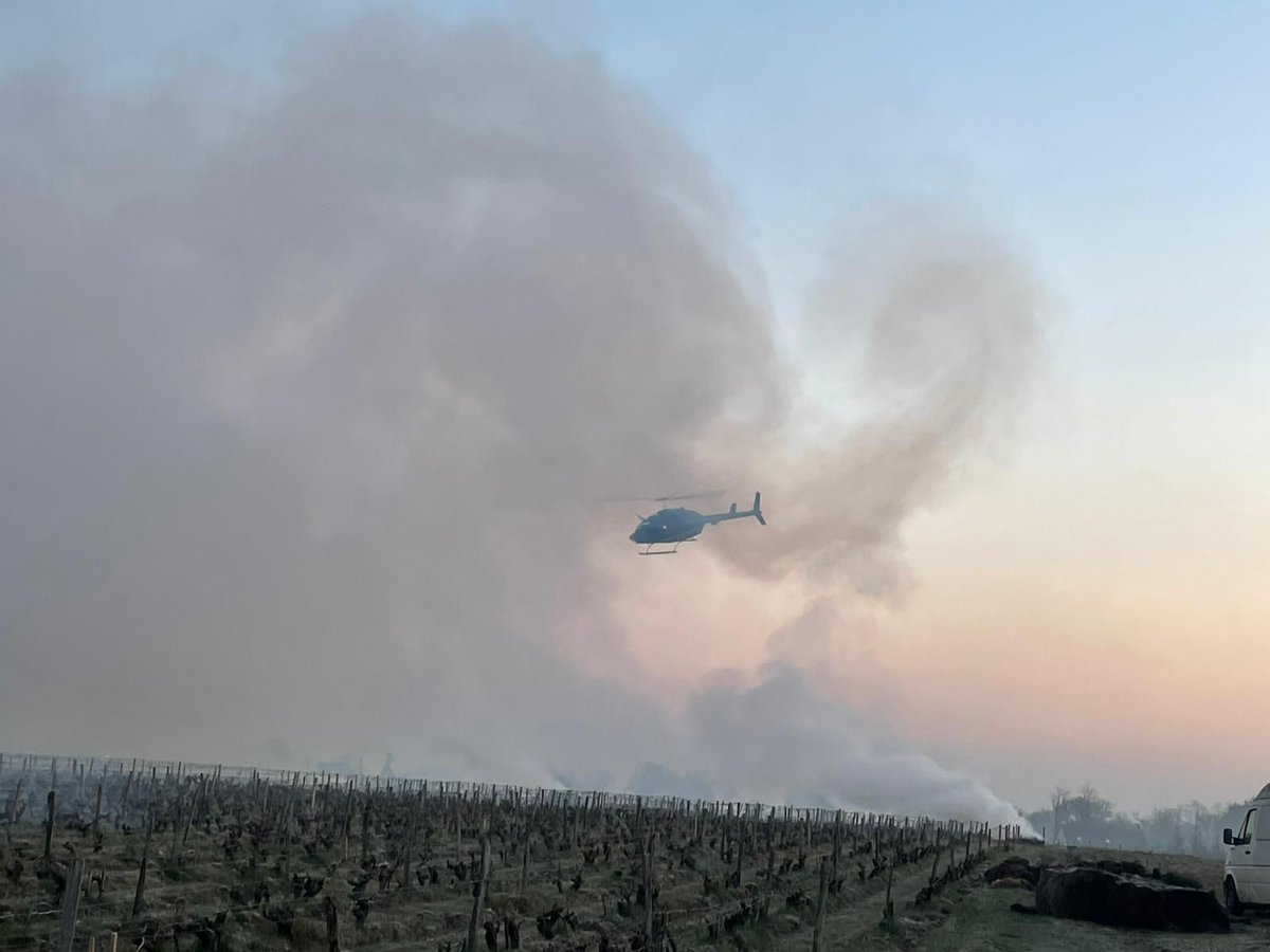 Chambre d’agriculture 37 tweet media