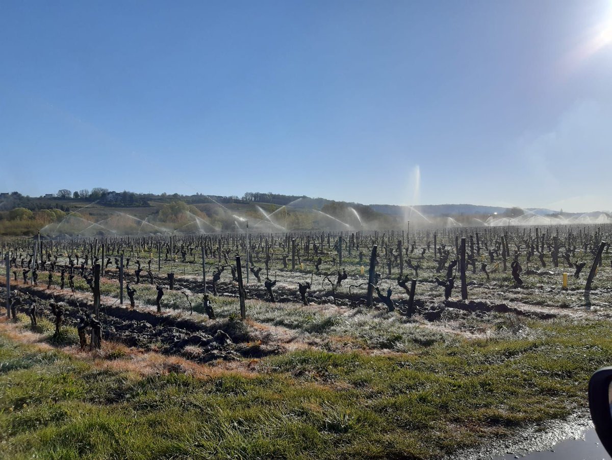 Chambre d’agriculture 37 tweet media