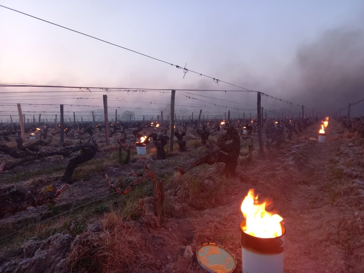 Chambre d’agriculture 37 tweet media