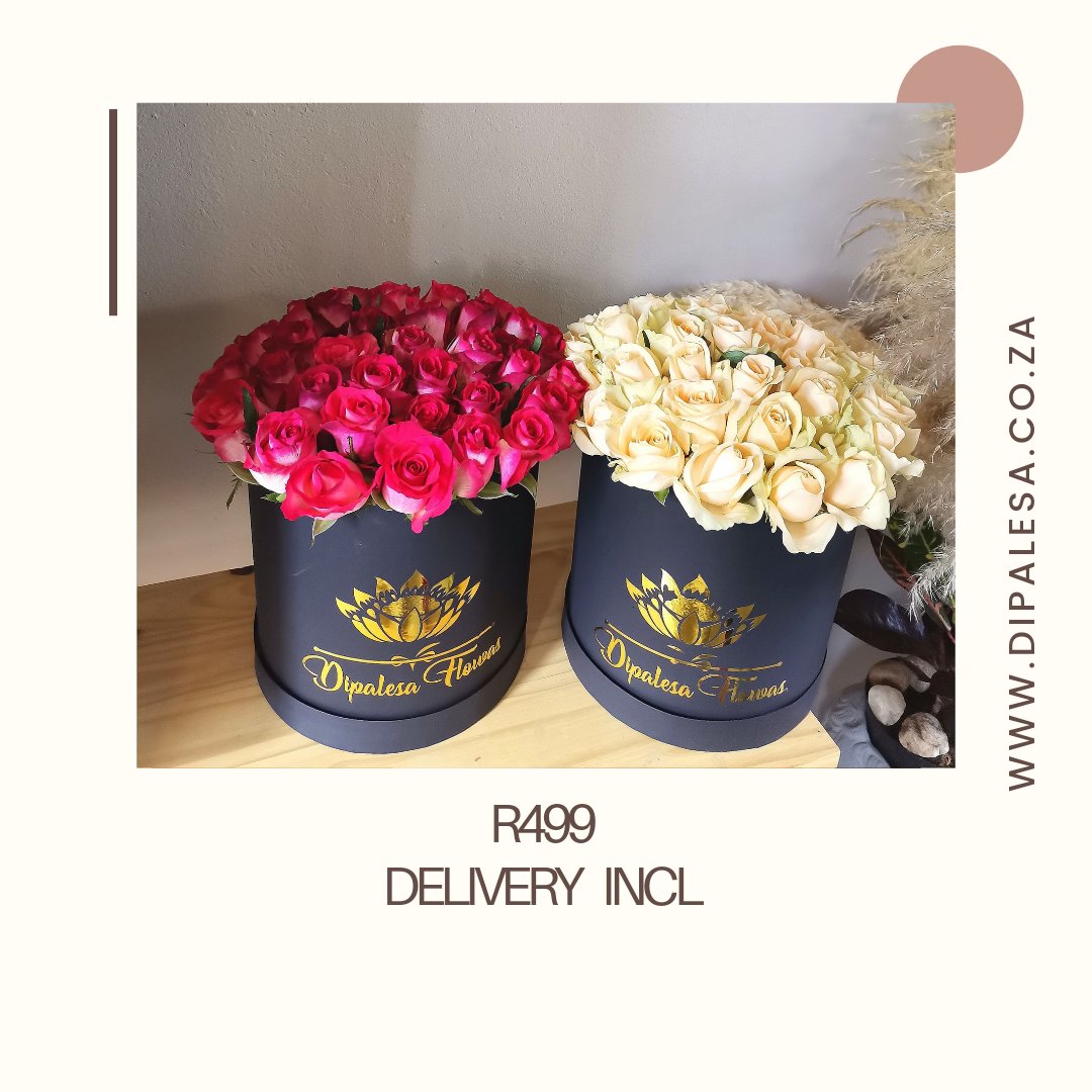 dipalesa_flowas's tweet image. We have our #boxedroses special this week. From R799 to R499 Delivery Inclusive 
WhatsApp: wa.me/message/P5BZG3… 🎀