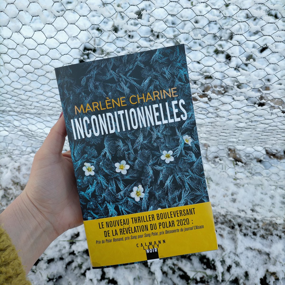 _borntobealivre's tweet photo. #JeudiPolar J'entame #Inconditionnelles de Marlène Charine, reçu grâce à la #MasseCritique de @Babelio et à @calmann_levy ! ✨ https://t.co/4POWBWuotx