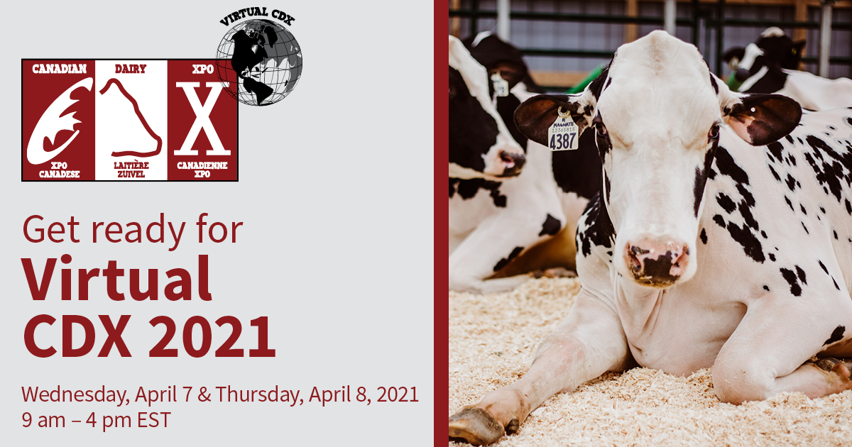 Yesterday was great, but we think #CDX2021 is going to be even better today! Join us 9 a.m. - 4 p.m. EST today to see over 300 exhibitors, connect with producers and more. Register for free here: bit.ly/3aM78KC