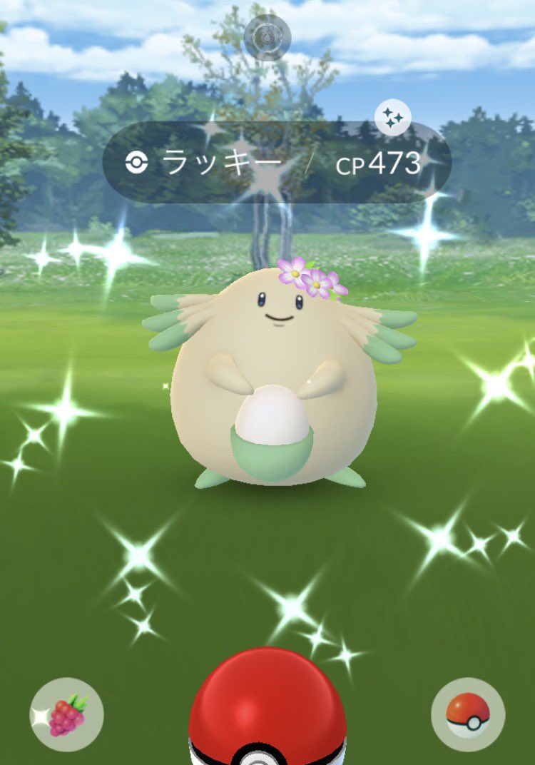 Shiny Warrior Go Twitter