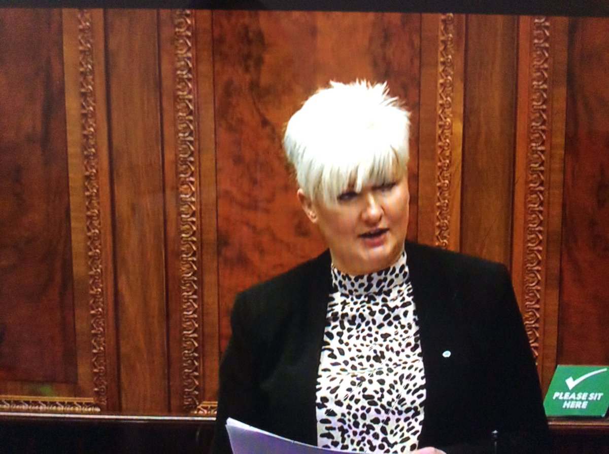 ConchobharC's tweet photo. #AssemblyRecall @Joanne_Bunting Uses her assembly time to scab pick, blaming a funeral that occurred NINE months ago.
She admits she continually ‘harps’ on with the lie about two tier policing. Joanne blames Brexit, 2 tier policing and general subjugation of Protestants. https://t.co/xRRXZZlBIJ