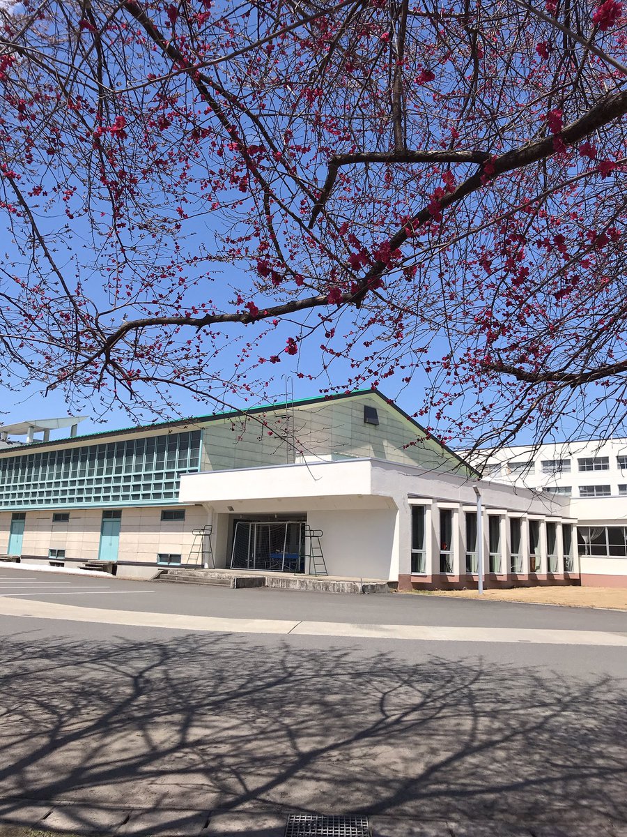 米沢女子短期大学 Busqueda De Twitter