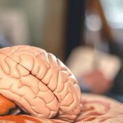 Vielä ehdit mukaan!

uef.fi/fi/jatkuva-opp…

<a href="/UEFsmartforgood/">UEF | Jatkuva oppiminen</a>