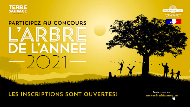 Office national des forêts (@onf_officiel) on Twitter photo C'est reparti : le concours de l'Arbre de l'année, organisé par le magazine <a href="/TerreSauvageMag/">Terre Sauvage</a> en partenariat avec l'#ONF, lance son édition 2021 et souffle sa dixième bougie. Le grand public peut participer en présentant son #arbre préféré ! onf.fr/onf/+/379 C'est reparti : le concours de l'Arbre de l'année, organisé par le magazine <a href="/TerreSauvageMag/">Terre Sauvage</a> en partenariat avec l'#ONF, lance son édition 2021 et souffle sa dixième bougie. Le grand public peut participer en présentant son #arbre préféré ! onf.fr/onf/+/379