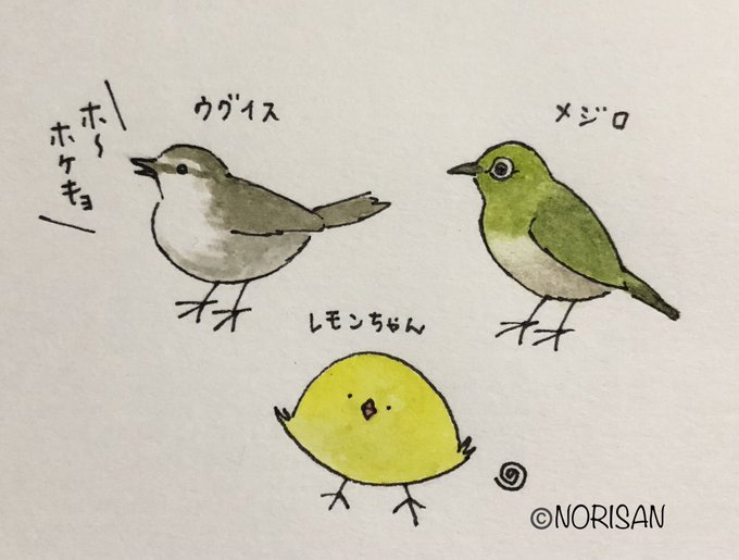 鳴き声のtwitterイラスト検索結果 古い順 鳴き声のtwitterイラスト検索結果 古い順