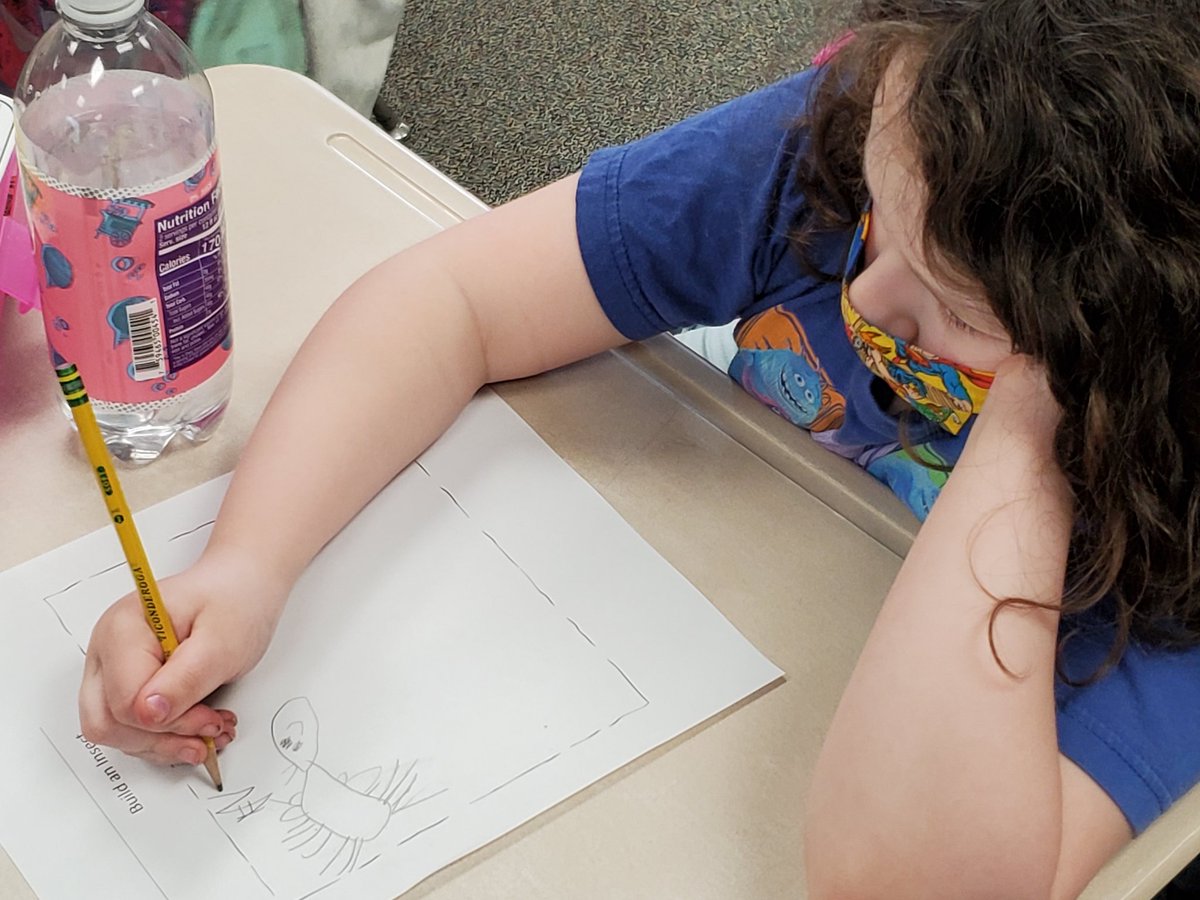 PennLincolnElem's tweet photo. First graders have learned so much about insects that they can draw and label them. #PLSTEAM https://t.co/it86EZKeUb