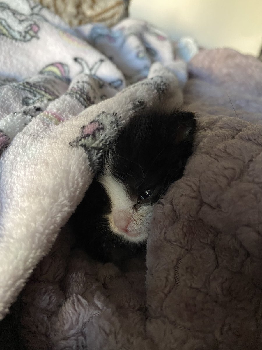 Us hiding from social media be like: