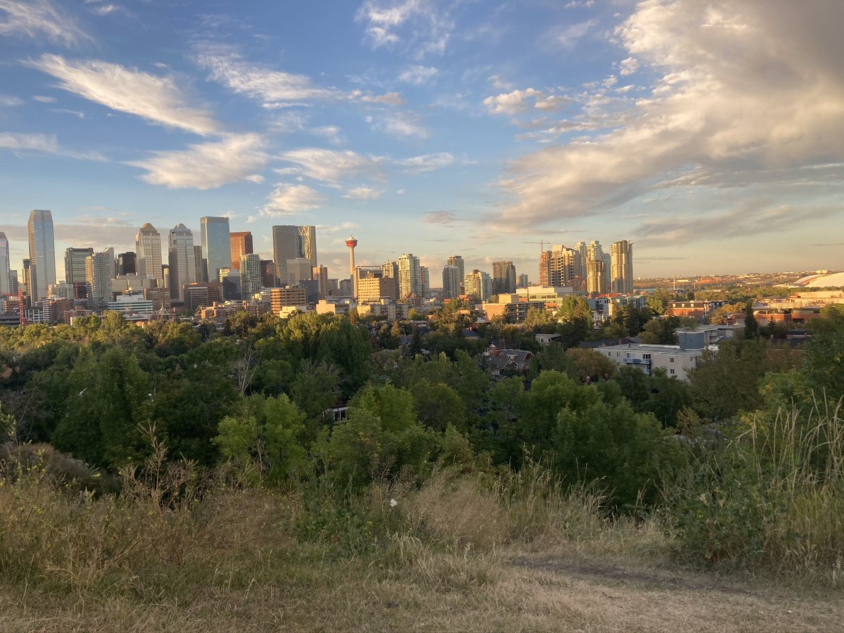 Ghost_Bones_'s tweet photo. @TheCalgaryTower Skyline view from Scotsman’s Hill. Fall of 2020 https://t.co/Cm1msAD6nC