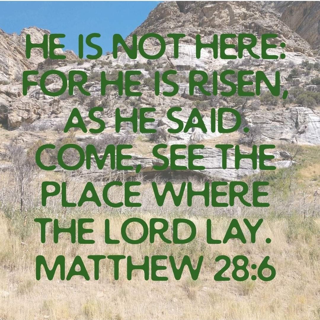 Walking By Faith (@walkingbyfait19) on Twitter photo 