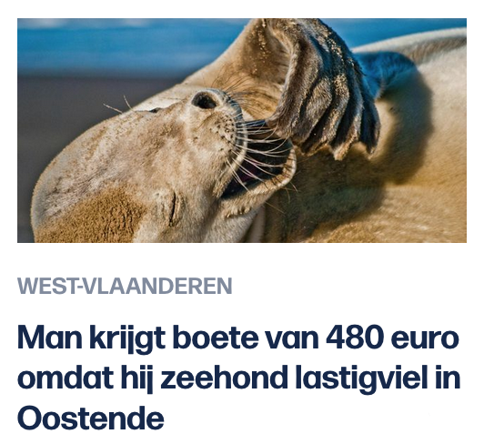 seppetoremans's tweet photo. Zotte kosten. Voor dat geld valt ge met gemak een vrouw of drie lastig. https://t.co/4oqQVjEhbE