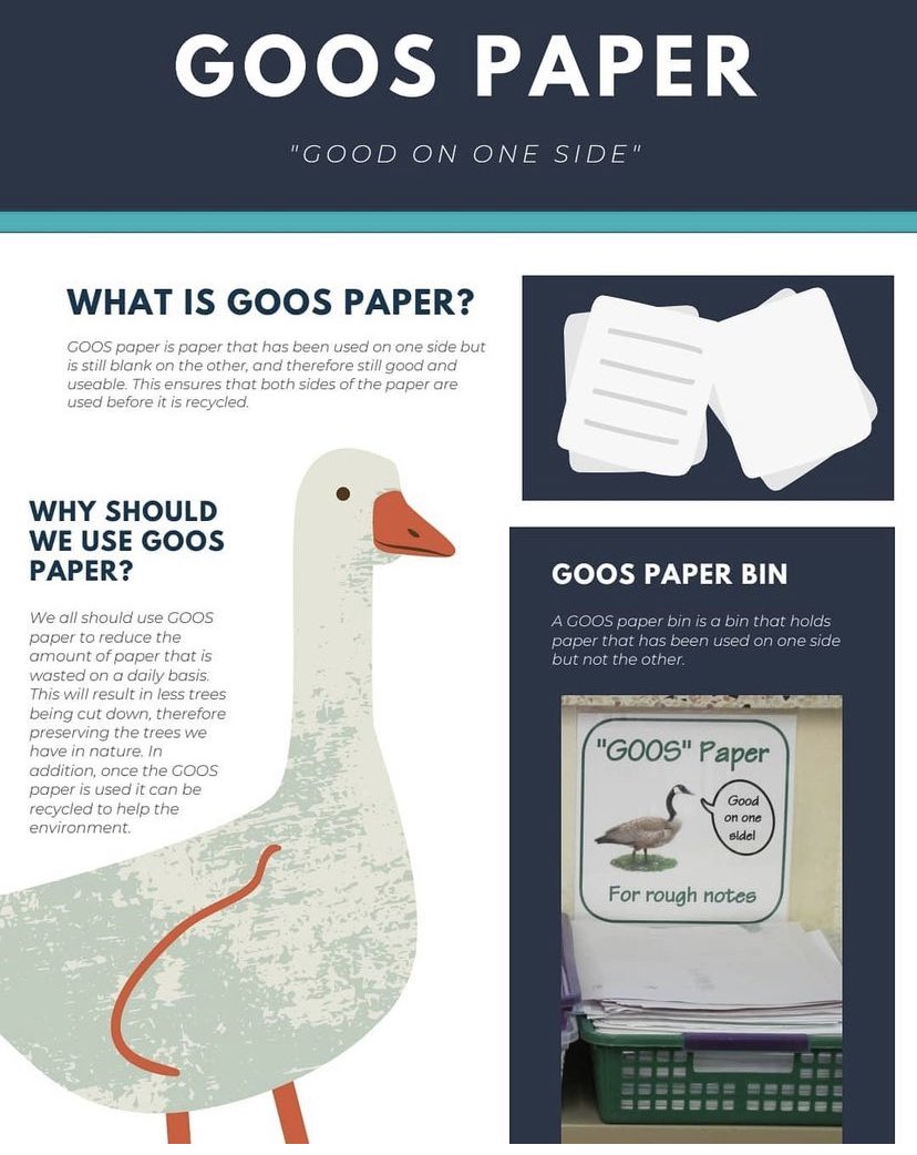 StPaulCSS1's tweet photo. National #GOOSPaperDay21 ... @StPaulCSS1 students are invited to entered #Goospaper contest — see details below. Thank you #EcoClub  #Wolverine Emma C. for the great info-graph! @EcoSchoolsCAN @DPCDSBSchools https://t.co/A79dqoYJdO