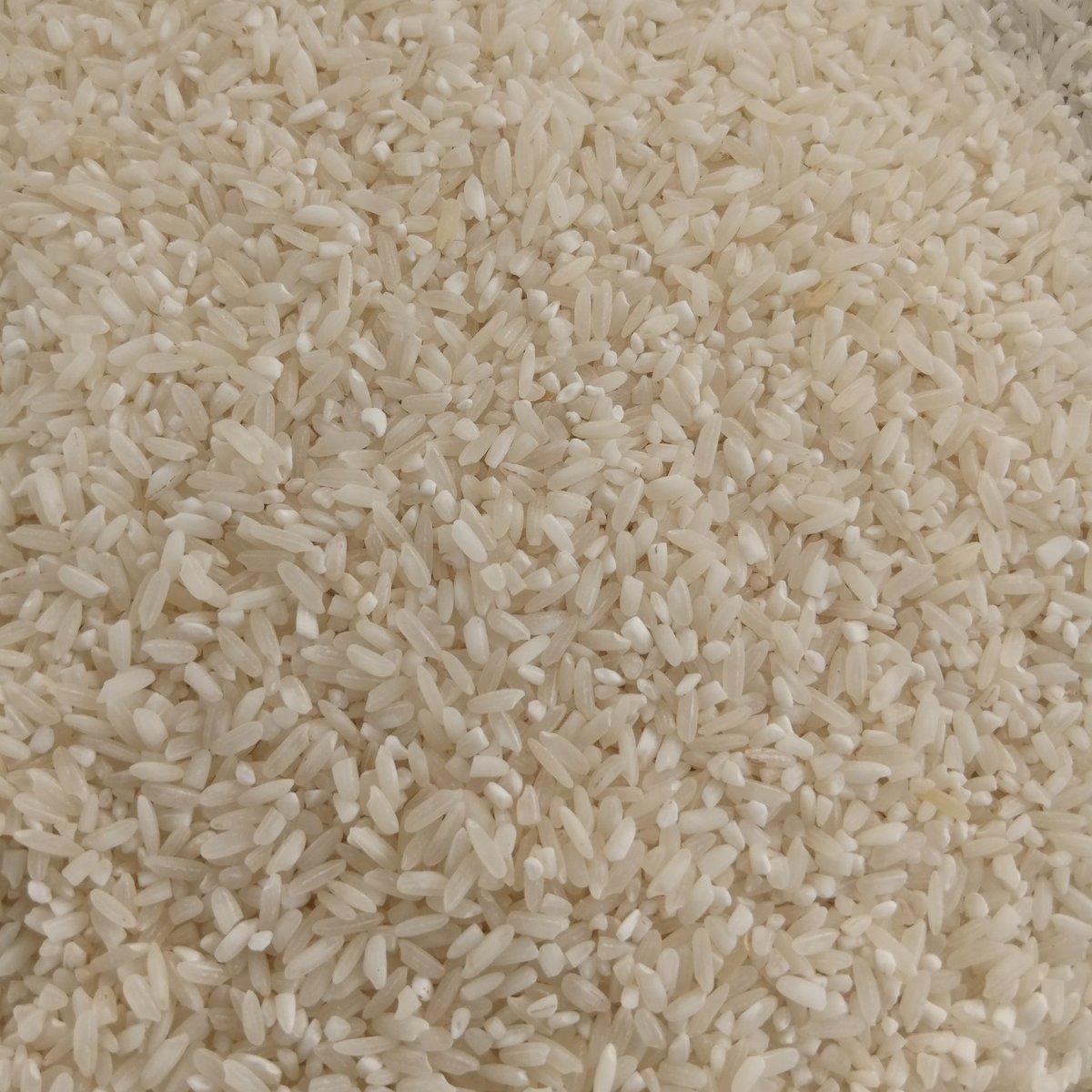 SteenOmito's tweet photo. Looking for market for over 10 tones of Norika4 hurled rice selling 3000ugx per kg at Alwi Subcounty in Pakwach District. https://t.co/JZz0OII57u