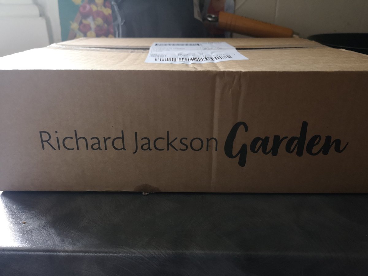 DonnaHe60990670's tweet image. Ooooh I love a parcel ❤️ @RichardQVC more #gardening goodness 🥳 #happydays