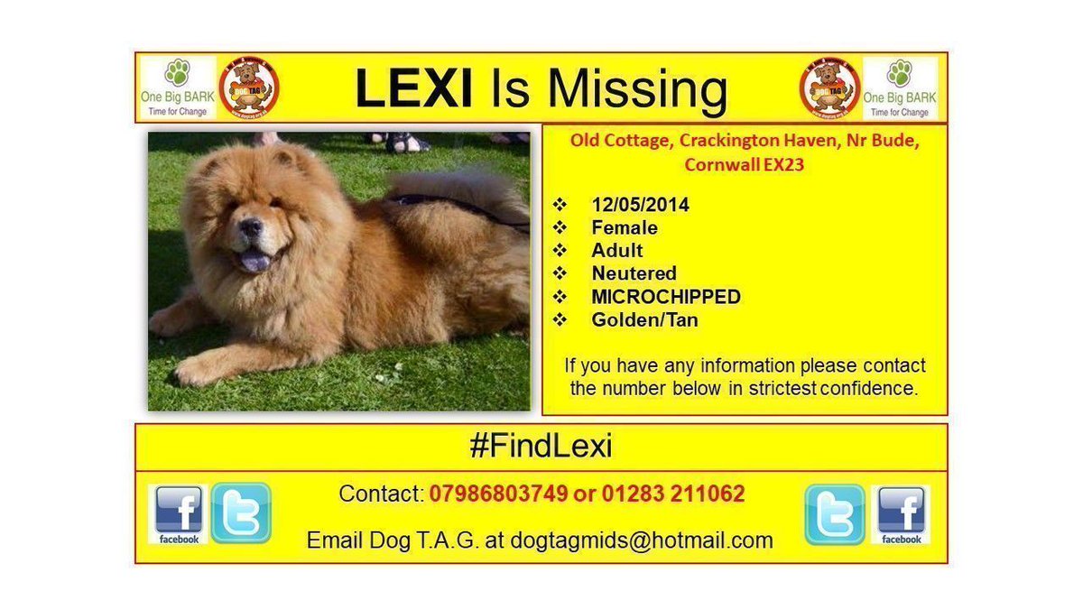 STOLEN
Where is Lexi
#FindLexi
Missing too long
#pettheftawareness
MICROCHIPPED #ScanMe
☎️ 07986 803749