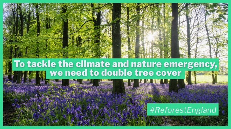 We have the space to double our tree cover, while growing the right trees in the right places.  So <a href="/ZacGoldsmith/">Zac Goldsmith</a> are you up for it?  <a href="/friends_earth/">Friends of the Earth</a> #reforestengland