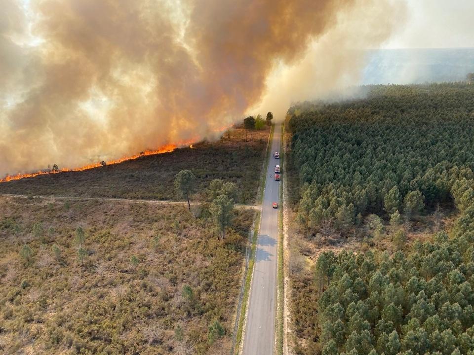 Prefet17's tweet image. 🔥 Plus de 100 pompiers luttent actuellement contre des #Feuxdeforet à #Cercoux.
La sous-préfète de Jonzac est sur place.
Le @Prefet17 met en garde contre le risque élevé de feux de forêt et a demandé à la @Gendarmerie_017 d'intensifier les patrouilles. 
(📷sdis33)
📛 Rappel ⤵️