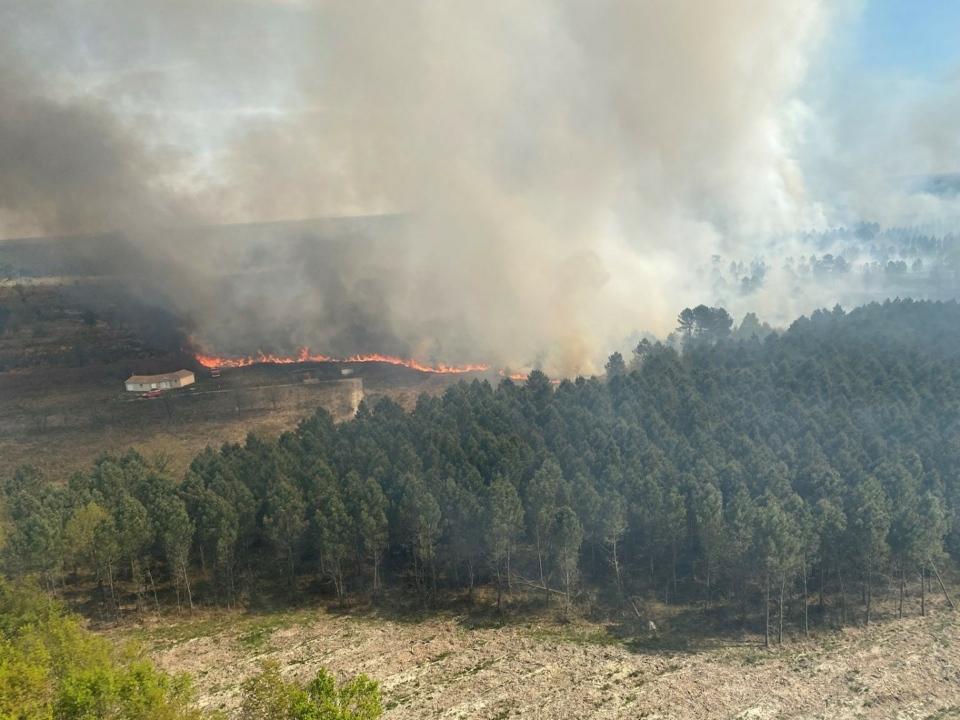Prefet17's tweet image. 🔥 Plus de 100 pompiers luttent actuellement contre des #Feuxdeforet à #Cercoux.
La sous-préfète de Jonzac est sur place.
Le @Prefet17 met en garde contre le risque élevé de feux de forêt et a demandé à la @Gendarmerie_017 d'intensifier les patrouilles. 
(📷sdis33)
📛 Rappel ⤵️