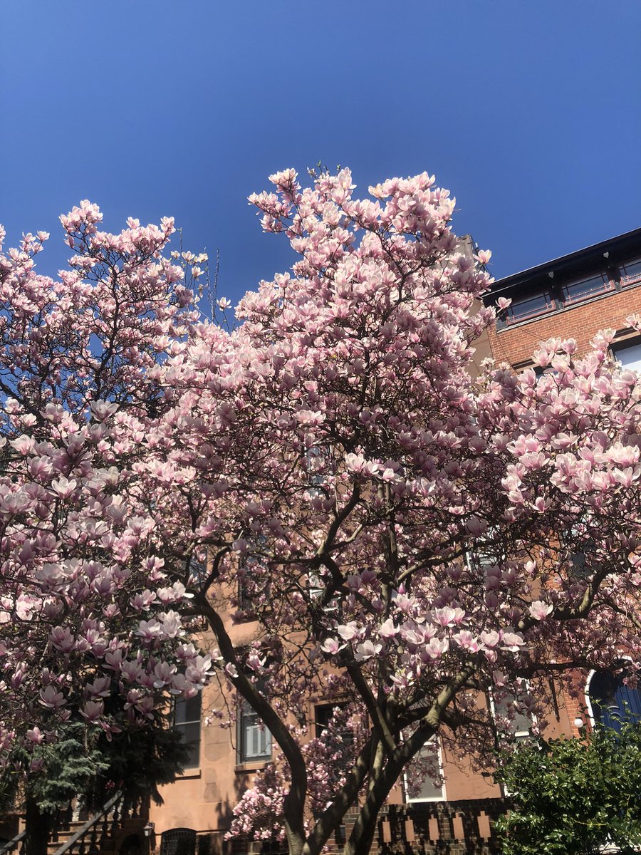 James 🐼 Rapoport tweet media