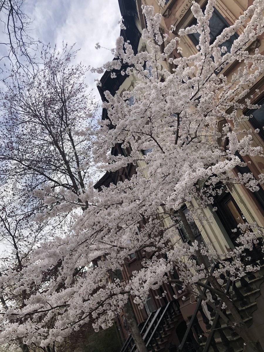 James 🐼 Rapoport tweet media